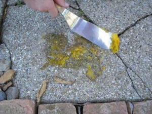 scrambled eggs on a sidewalk