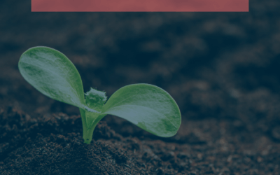 God is in the Resurrection Business: What That Means For You