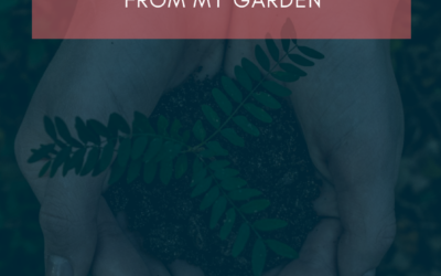 Growth Takes Time and Tending: A Marriage Lesson from My Garden